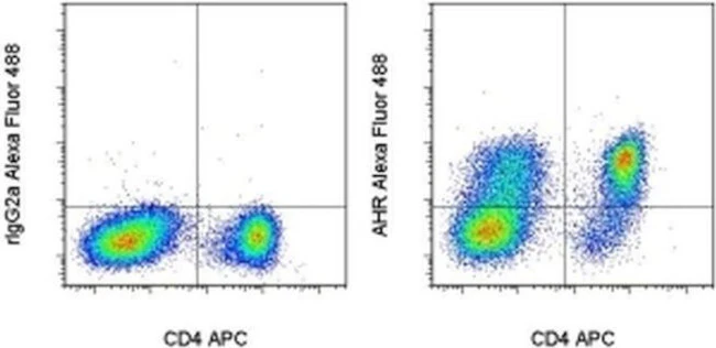 AHR Monoclonal Antibody (4MEJJ), Alexa Fluor 488, eBioscience