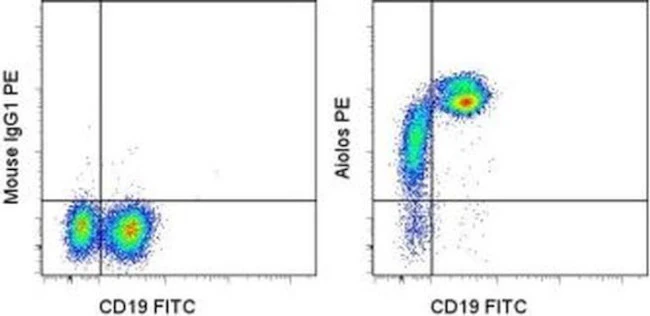 Aiolos Monoclonal Antibody (8B2), PE, eBioscience