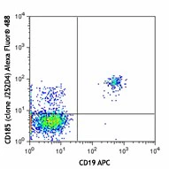 Alexa Fluor® 488 anti-human CD185 (CXCR5)