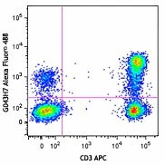 Alexa Fluor® 488 anti-human CD197 (CCR7)