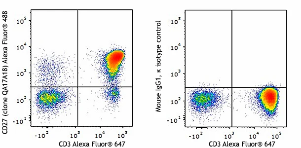 Alexa Fluor® 488 anti-human CD27 Recombinant
