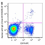 Alexa Fluor® 488 anti-human IgG Fc