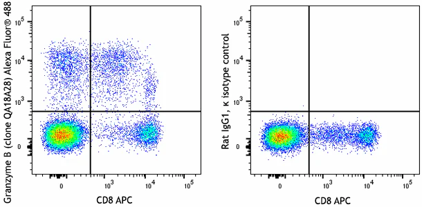 Alexa Fluor® 488 anti-human/mouse Granzyme B Recombinant