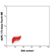 Alexa Fluor® 488 anti-human/mouse/rat PCNA - Image 2