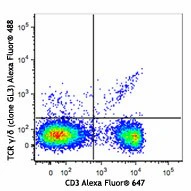 Alexa Fluor® 488 anti-mouse TCR γ/δ