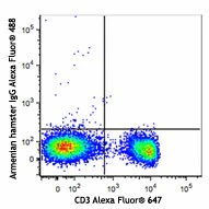 Alexa Fluor® 488 anti-mouse TCR γ/δ - Image 2