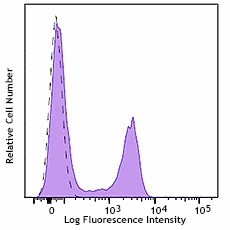 Alexa Fluor® 488 anti-rat IgG2b