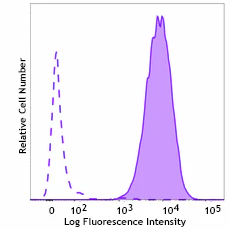 Alexa Fluor® 647 anti-Cytokeratin (pan reactive) - Image 3