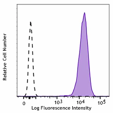 Alexa Fluor® 647 anti-EGFR