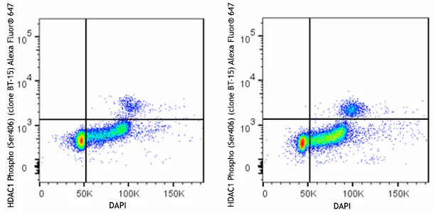 Alexa Fluor® 647 anti-HDAC1 Phospho (Ser406) - Image 2