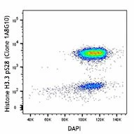 Alexa Fluor® 647 anti-Histone H3.1 Phospho (Ser28)