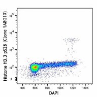 Alexa Fluor® 647 anti-Histone H3.1 Phospho (Ser28) - Image 2