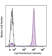 Alexa Fluor® 647 anti-Histone H3 Phospho (Ser10)