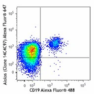 Alexa Fluor® 647 anti-human Aiolos