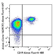Alexa Fluor® 647 anti-human Aiolos
