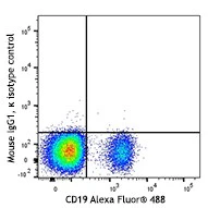 Alexa Fluor® 647 anti-human Aiolos - Image 2