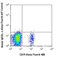 Alexa Fluor® 647 anti-human CD196 (CCR6) - Image 2