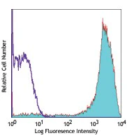 Alexa Fluor® 647 anti-human CD206 (MMR)