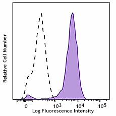 Alexa Fluor® 647 anti-human CD209 (DC-SIGN)
