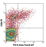 Alexa Fluor® 647 anti-human CD336 (NKp44)