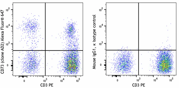 Alexa Fluor® 647 anti-human CD73 (Ecto-5'-nucleotidase)