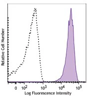 Alexa Fluor® 647 anti-human EGFR