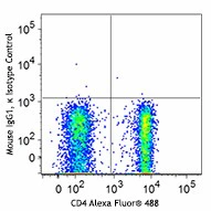 Alexa Fluor® 647 anti-human FOXP3 - Image 2