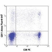 Alexa Fluor® 647 anti-human/mouse Granzyme B