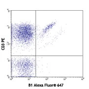 Alexa Fluor® 647 anti-human TCR γ/δ