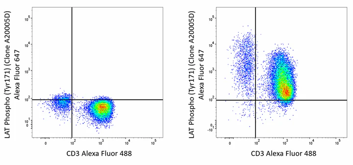 Alexa Fluor® 647 anti-LAT Phospho (Tyr171) - Image 2