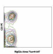 Alexa Fluor® 647 anti-mouse CD197 (CCR7)
