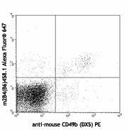 Alexa Fluor® 647 anti-mouse CD244.2 (2B4 B6 Alloantigen)