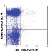 Alexa Fluor® 647 anti-mouse CD317 (BST2, PDCA-1)