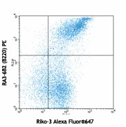 Alexa Fluor® 647 anti-mouse CD55 (DAF)
