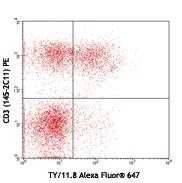 Alexa Fluor® 647 anti-mouse CD73