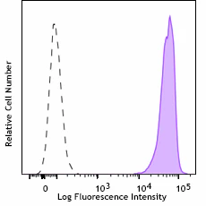 Alexa Fluor® 647 anti-Puromycin