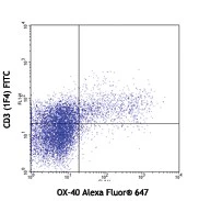 Alexa Fluor® 647 anti-rat CD134 (OX-40)