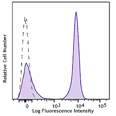 Alexa Fluor® 647 anti-rat IgG2a
