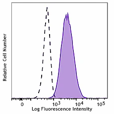 Alexa Fluor® 647 anti-Vimentin - Image 2
