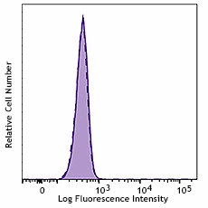 Alexa Fluor® 647 anti-Vimentin - Image 3