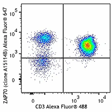 Alexa Fluor® 647 anti-ZAP70