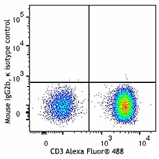 Alexa Fluor® 647 anti-ZAP70 - Image 2