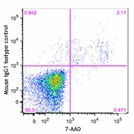 APC anti-Annexin A1 - Image 2