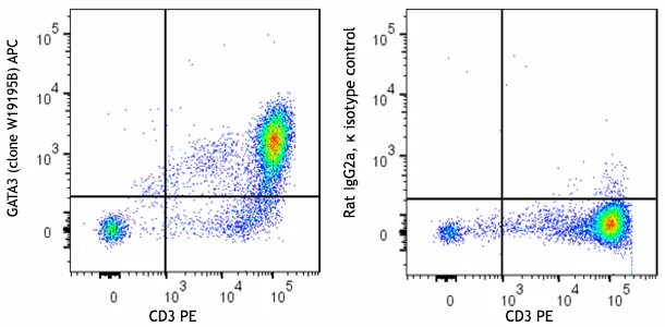 APC anti-GATA3 - Image 2