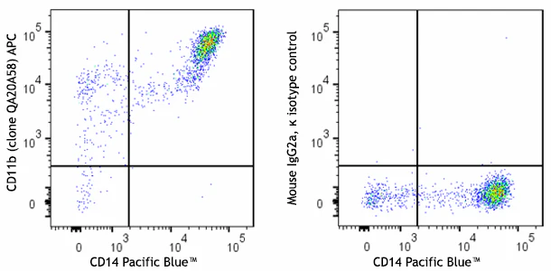 APC anti-human CD11b Recombinant