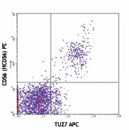 APC anti-human CD122 (IL-2Rβ)