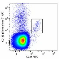 APC anti-human CD133