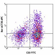 APC anti-human CD134 (OX40)