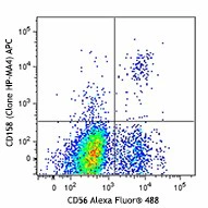 APC anti-human CD158 (KIR2DL1/S1/S3/S5)