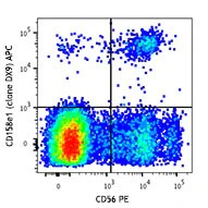 APC anti-human CD158e1 (KIR3DL1, NKB1)